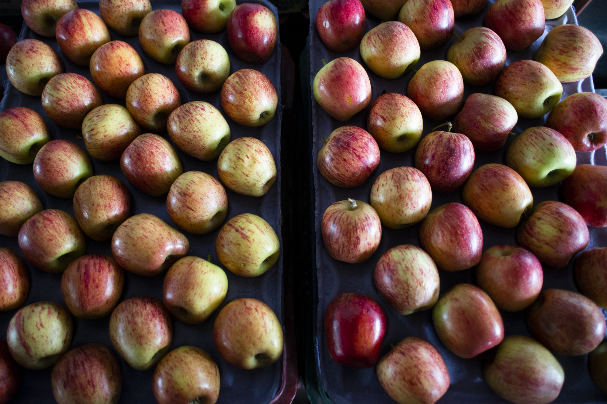 Semana começa com ofertas de frutas no entreposto da Ceasa no Cariri