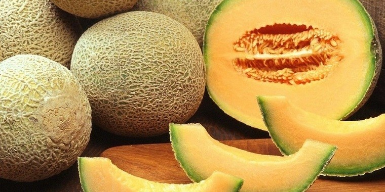 Melão japonês a R$ 1,80/kg na Ceasa em Maracanaú