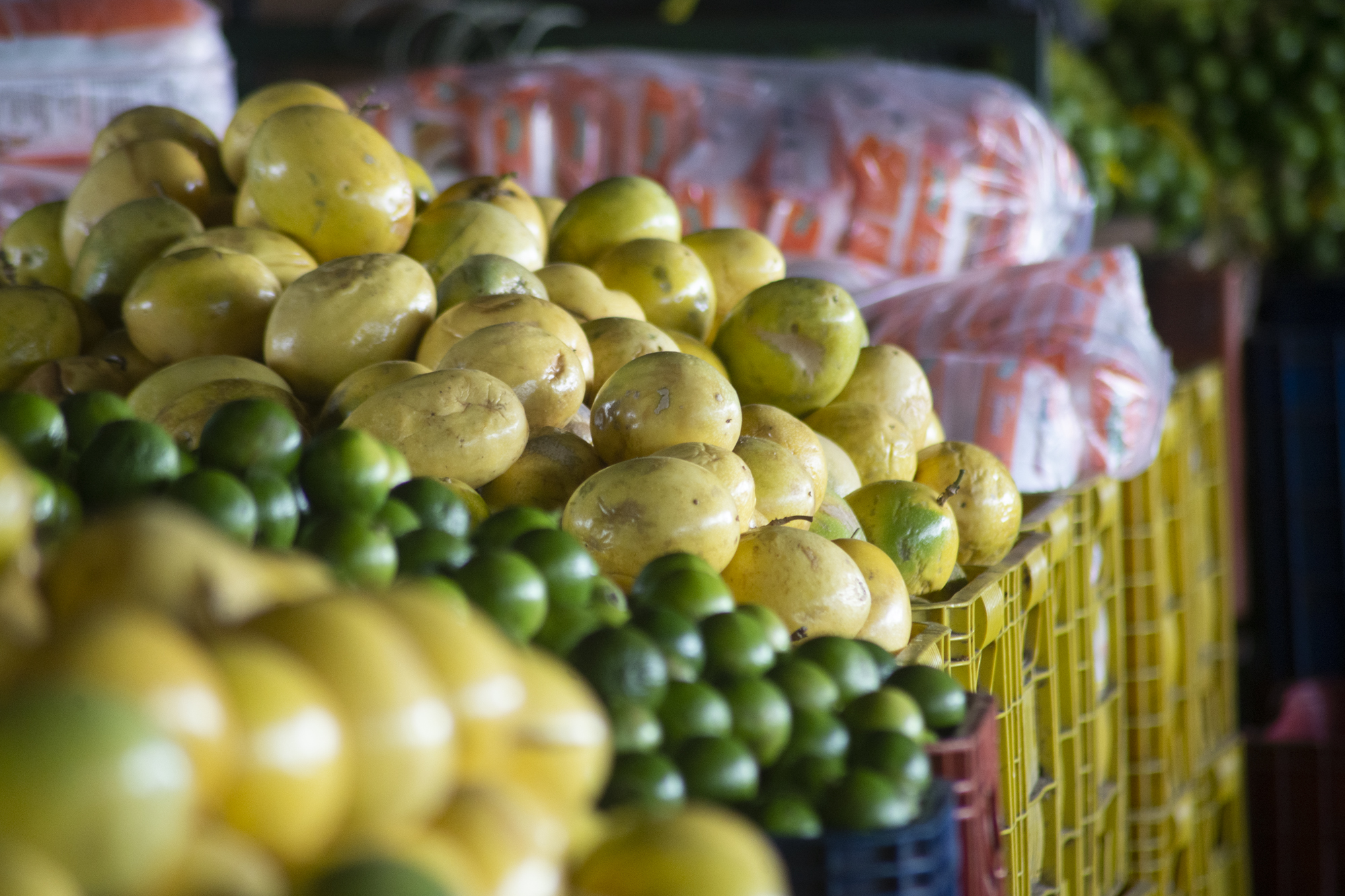 Produtos tradicionais natalinos incrementam vendas na Ceasa-CE - Centrais  de Abastecimento do Ceará - S/A