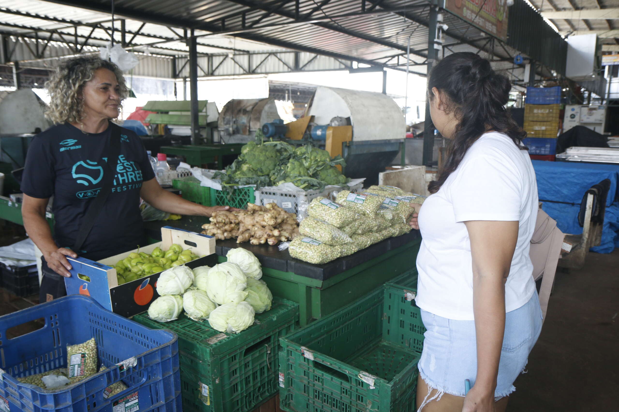 Com boas colheitas, preço do feijão verde está a R$ 2,00/kg na Ceasa em Tianguá