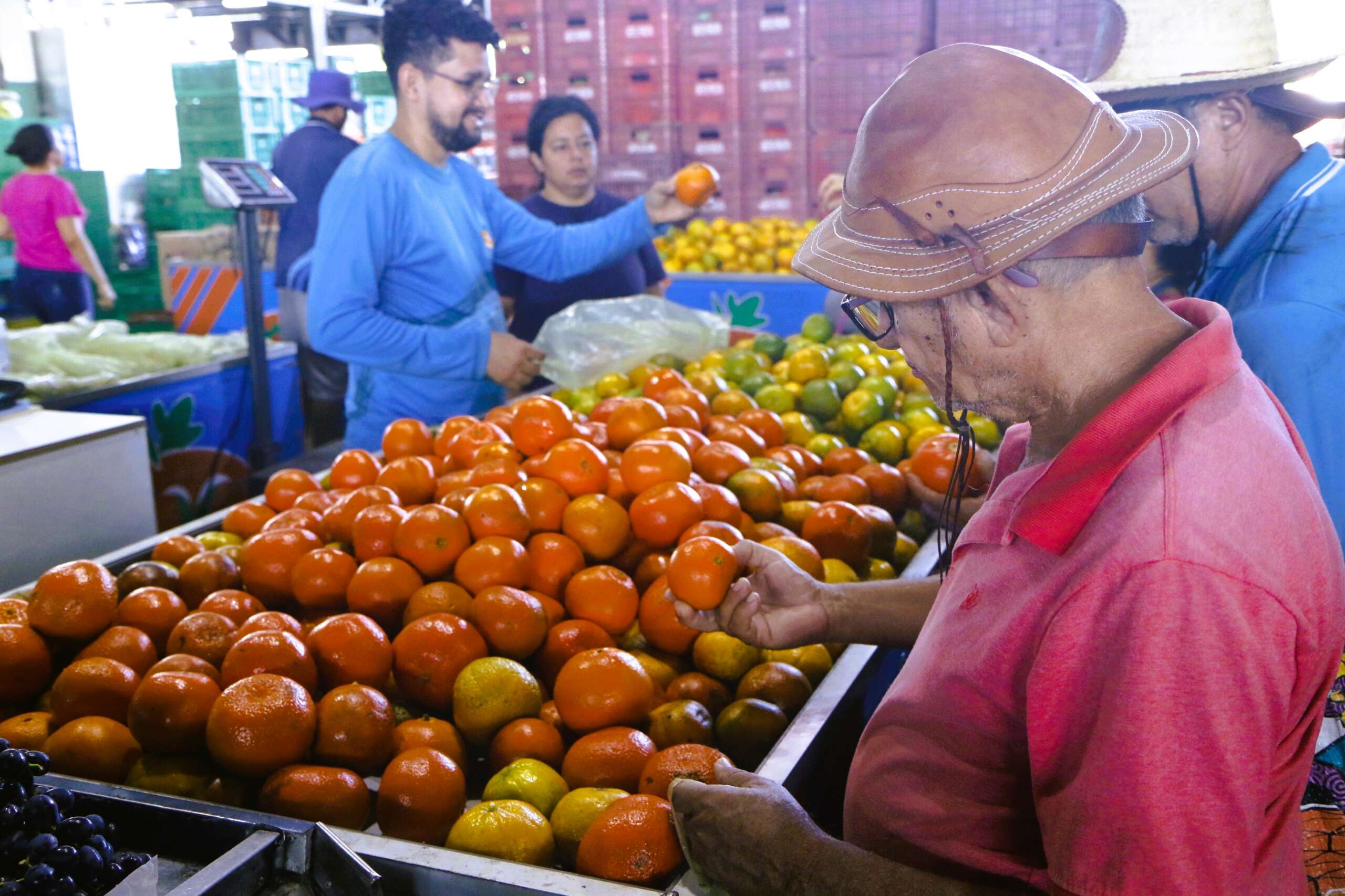 Ceasa-CE comemora 53 anos com ações e serviços nos três entrepostos