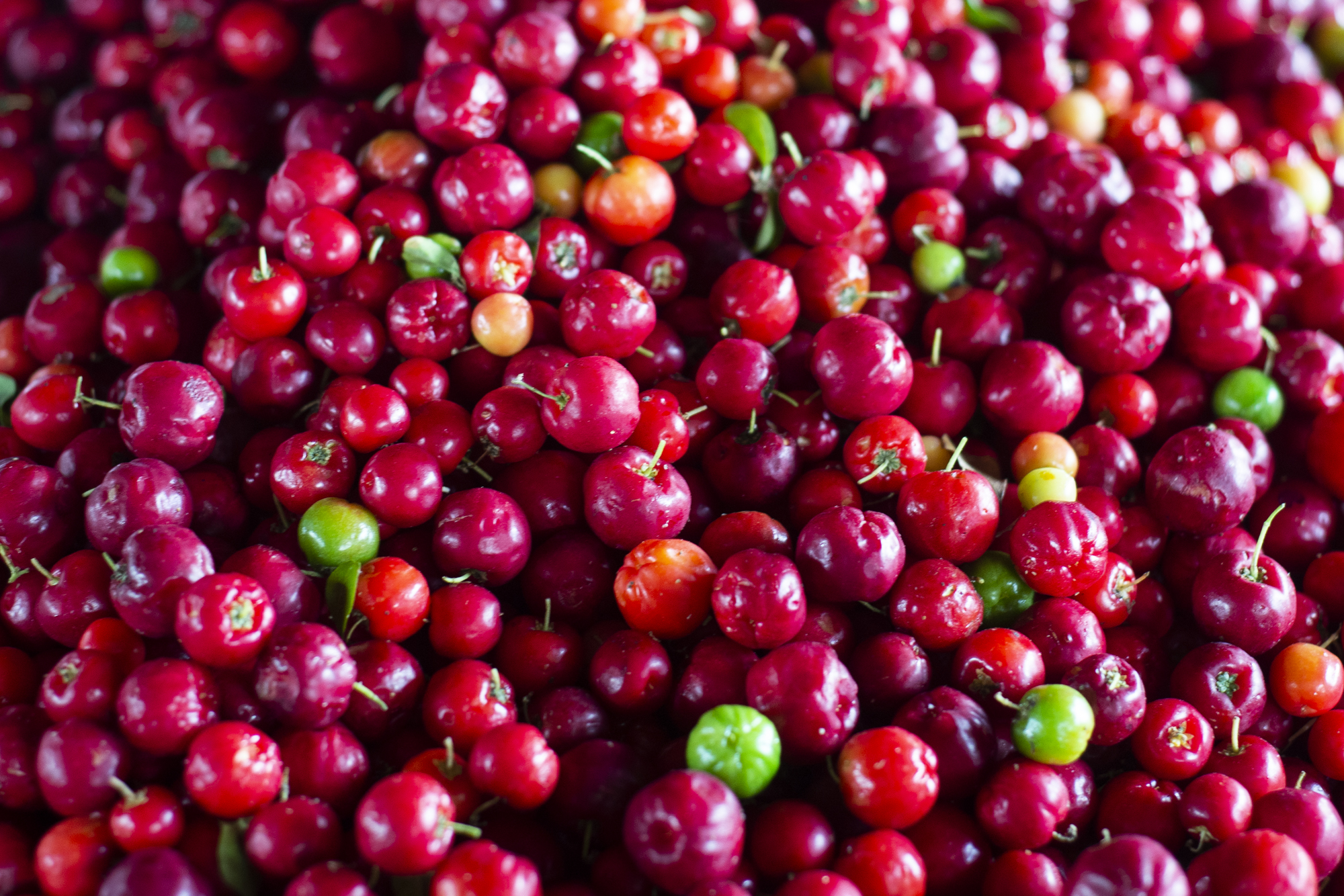 Ceasa-CE garante abastecimento de produtos típicos do mês de janeiro no Ceará