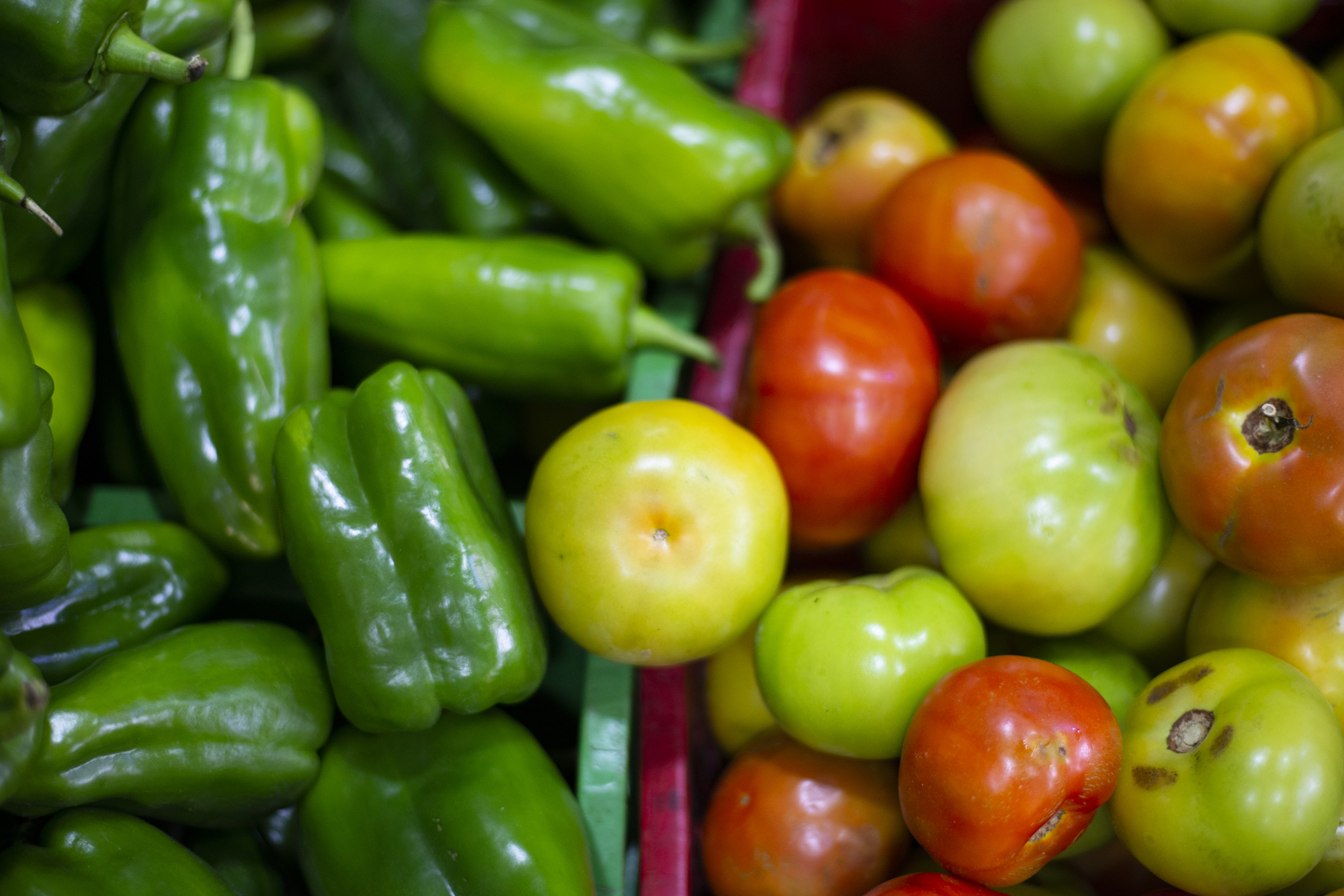 IPCE registra alta em todos os setores no acumulado anual